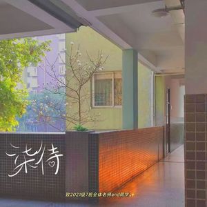 柒待