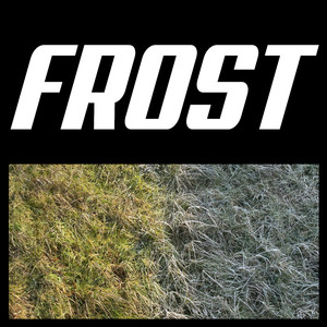 Frost