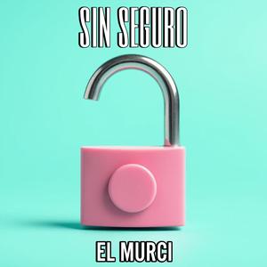 SIN SEGURO