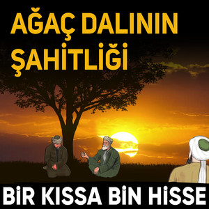 İbretlik Hikayeler (Ağaç Dalının Şahitliği)