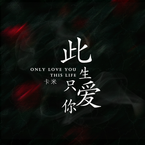 此生只爱你