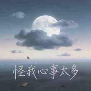怪我心事太多