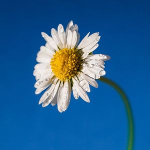 誓海星辰里的世外桃源