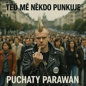 Piosenkarka za kierownicą