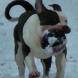 Switch Sides (feat. Cap)