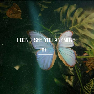 I DON'T SEE YOU ANYMORE