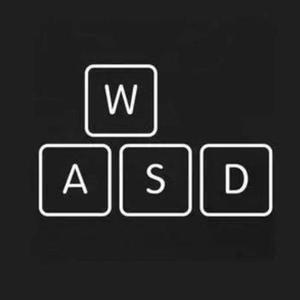 W A S D