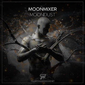 Moondust