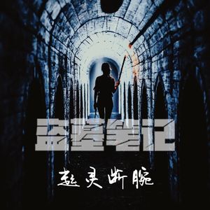 盗墓笔记·起灵断腕