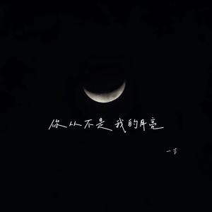 你从不是我的月亮