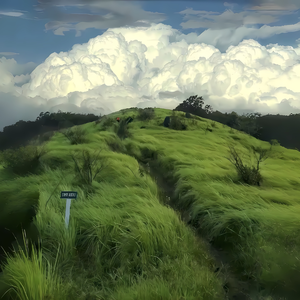 没说出口的话（古筝）