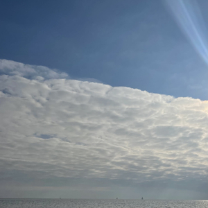 Tropical Parties Are Sad