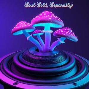 Soul Sold Separately