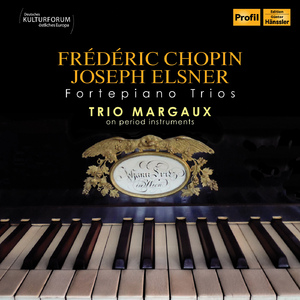 Piano Trio in G Minor, Op. 8 (arr. for fortepiano and chamber ensemble):I. Allegro con fuoco