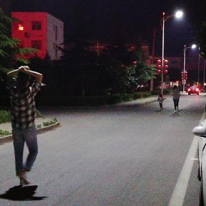 疯鸟欲猫和醉狗