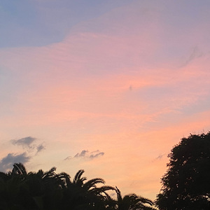 别处的夕阳(cover陈婧霏)