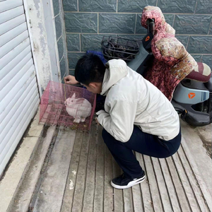 该恨的人先红眼眶