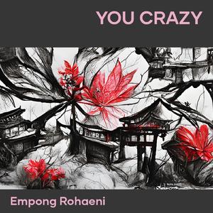 You Crazy