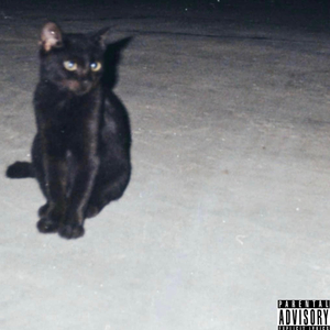 Feline