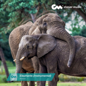 Elephants (Instrumental)