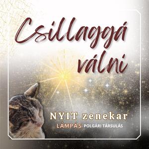 Csillaggá válni
