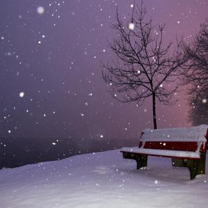 微凉的倾城时光