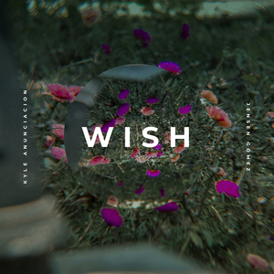 Wish