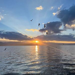 这条小鱼在乎（I‘m a little fish)