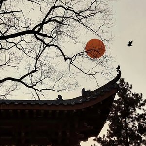《时光的旋律》