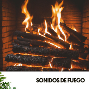 Hechizos encantados para dormir