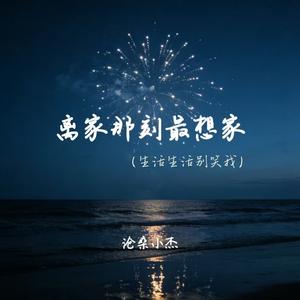 离家那刻最想家(生活生活别笑我)