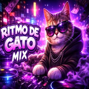 Ritmo de Gato (Mix)