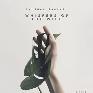 Whispers of the Wild
