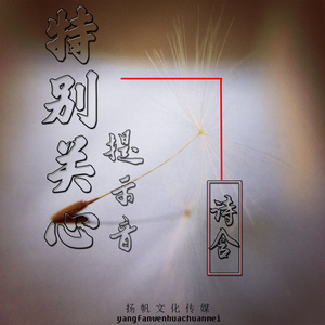 特别关心提示音