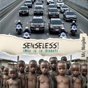 Senseless (Who Is to Blame?)