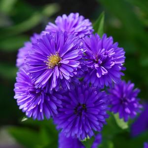 悠扬幸福调（舒缓纯音乐）