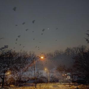 This Flesh And Bone Does Not Become Me