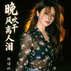 晚风吹干离人泪（伴奏）