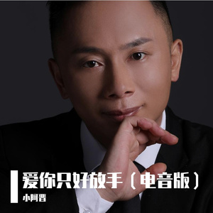 爱你只好放手（电音版DEMO）