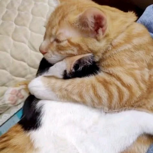 Kifach nkhelik (Sped Up)