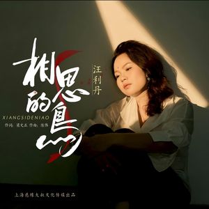 相思的鸟-伴奏
