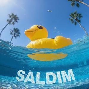 SALDIM