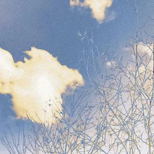 カタオモイ（单相思）（翻自 Aimer）