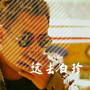 远去的白珍