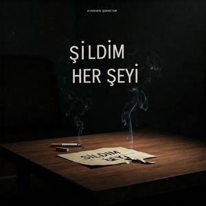 SİLDİM HERŞEYİ
