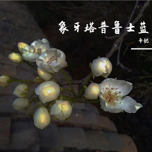 谯（翻自 陈渝）