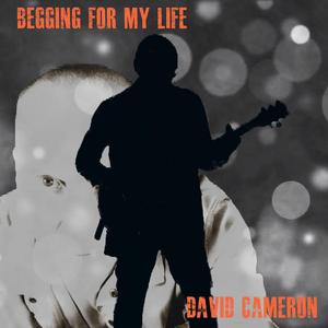 Everything Is Coming On Nicely!