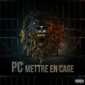 Mettre en cage