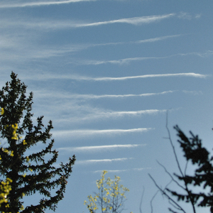 back when you were still mine