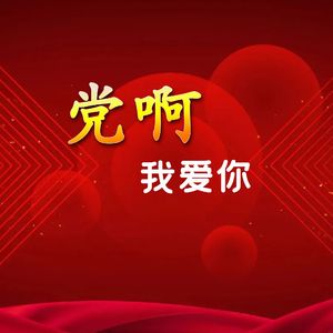 党啊我爱你